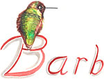 Watercolor Hummingbird Signature