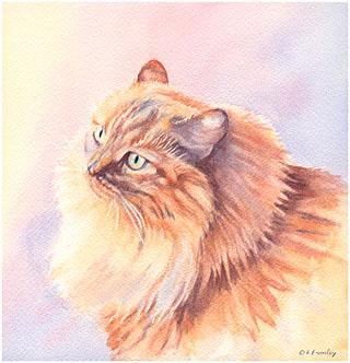 Pat's Cat - watercolor