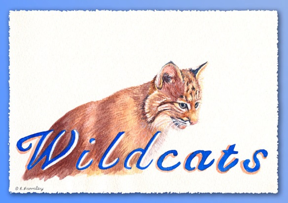 Watercolor painting by artist Barbara Bromley of a bobcat with the word 