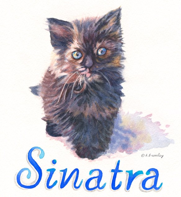 Sinatra-Cat-FORWEB-Nominal
