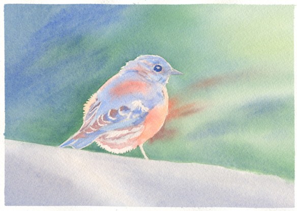 Stage 4. Paint background and bird further, in watercolor painting of a Bluebird, by artist Barbara Bromley