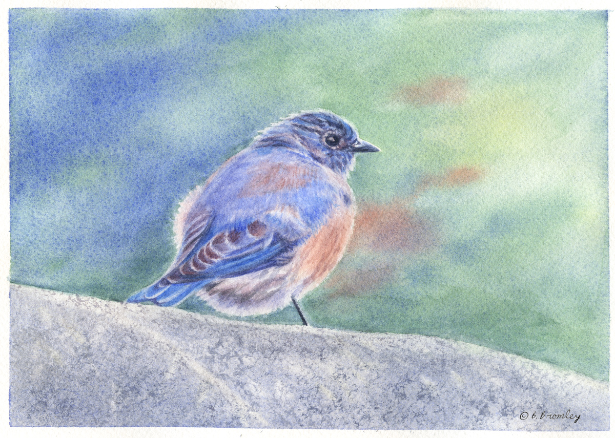 Mini Lesson – Painting a Bluebird | Artful Passages