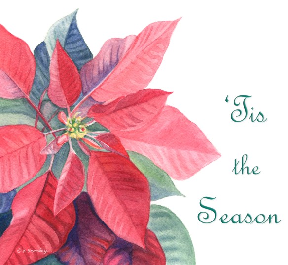 Watercolor painting, used as the front of my 2016 Christmas card